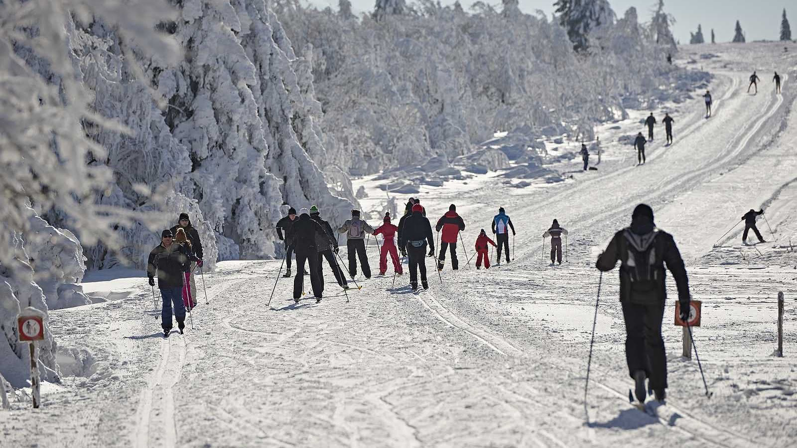 Les sports d'hiver au Champ du feu