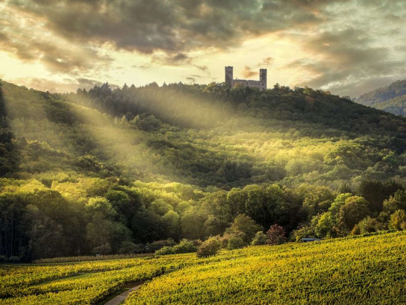 L’Alsace, terre de châteaux forts